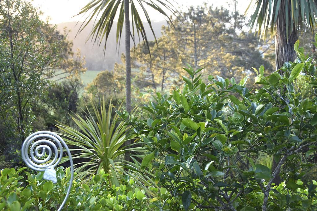 Ponga Eco-Lodge Hahei Dış mekan fotoğraf