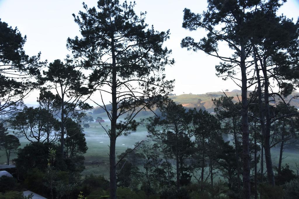 Ponga Eco-Lodge Hahei Dış mekan fotoğraf