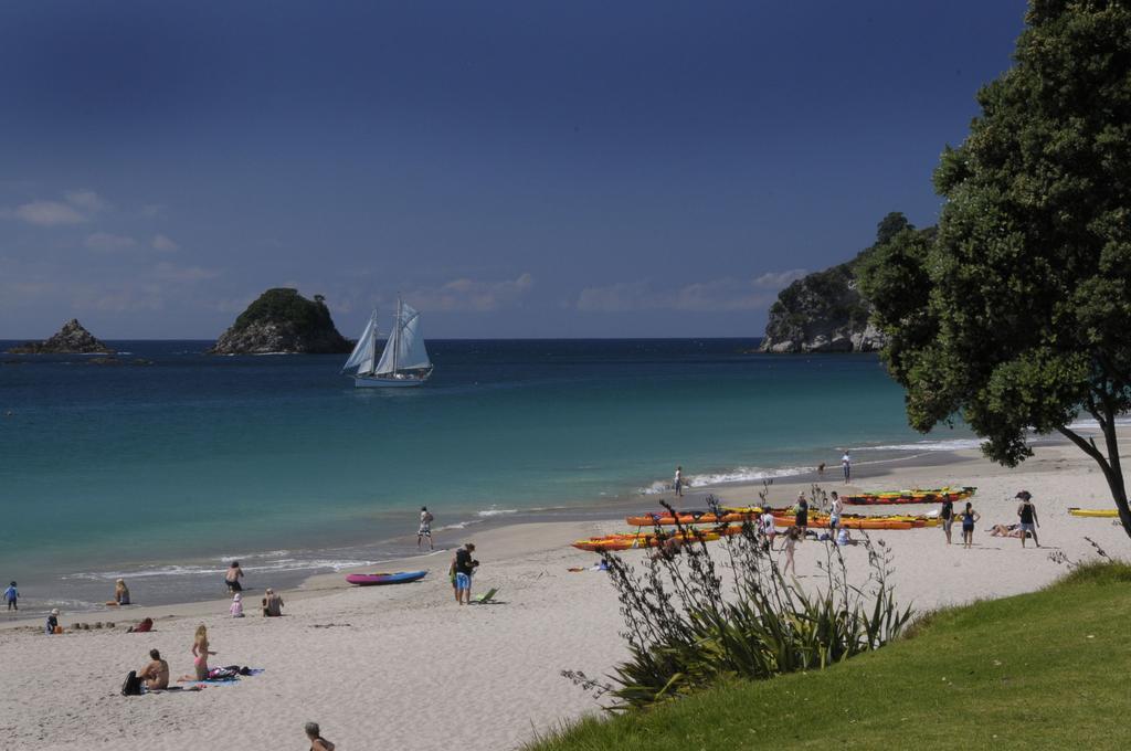 Ponga Eco-Lodge Hahei Dış mekan fotoğraf