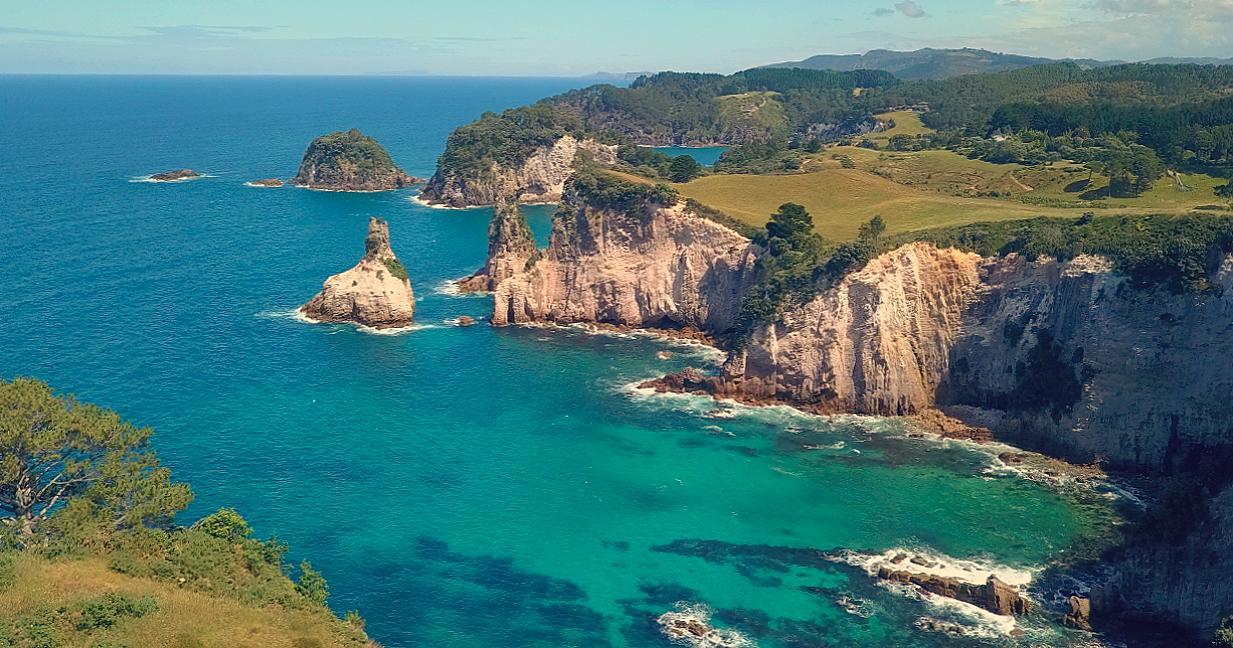 Ponga Eco-Lodge Hahei Dış mekan fotoğraf