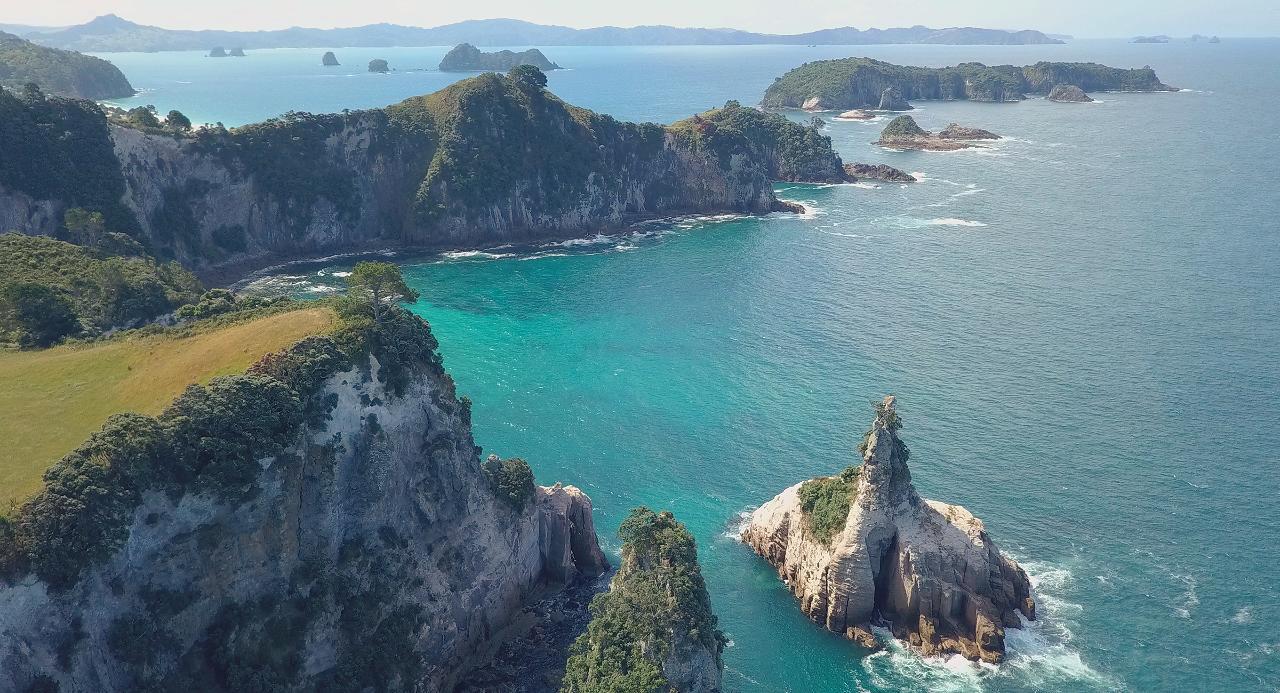 Ponga Eco-Lodge Hahei Dış mekan fotoğraf